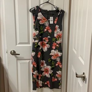 Brand new with tags Suzy Shier dress